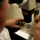 Egg Freezing: A Good Backup, Or "Harmful To Feminism"?